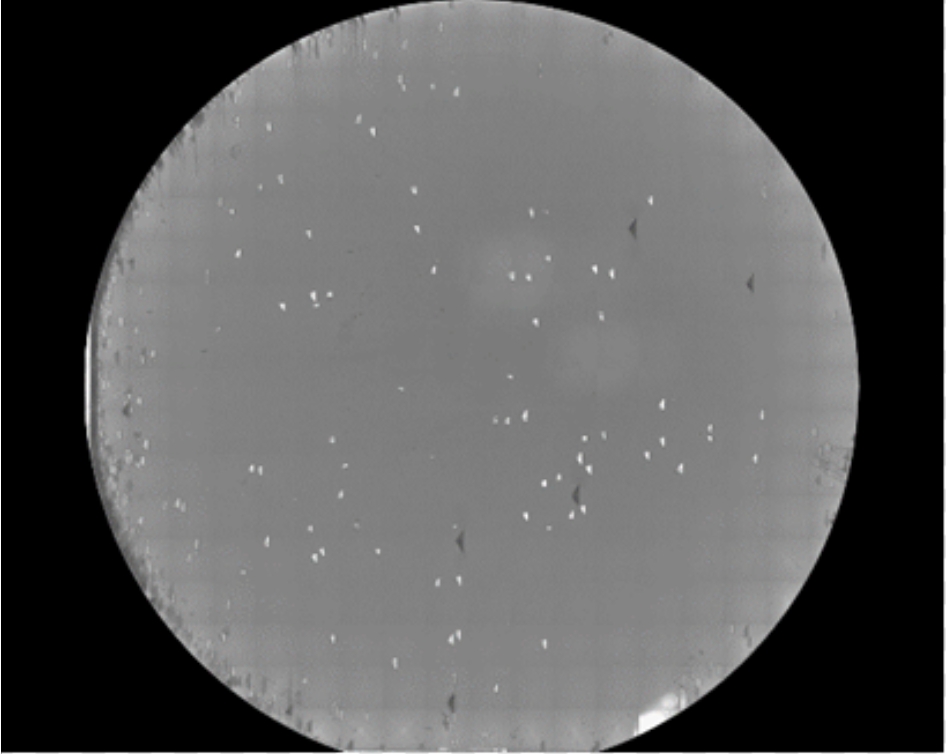 1746453301615850.jpg 圖片2.jpg